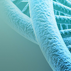 Renin‑angiotensin system inhibitors may have an advantage over calcium channel blockers in reducing proteinuria in gastric cancer patients receiving ramucirumab