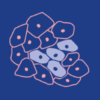 Preoperative Differentiation of Uterine Leiomyomas and Leiomyosarcomas: Current Possibilities and Future Directions
