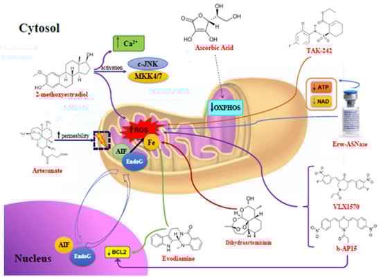 Promising Anti-Mitochondrial Agents for Overcoming Acquired Drug Resistance in Multiple Myeloma