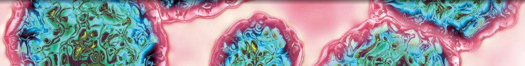 Delineating Molecular Subtypes through Gene Set Variation Analysis Confers Therapeutic and Prognostic Capability in Gastric Cancer