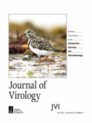 A structurally conserved RNA element within SARS-CoV-2 ORF1a RNA and S mRNA regulates translation in response to viral S protein-induced signaling in human lung cells. | Journal of Virology