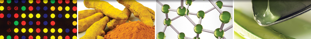 Seungmagalgeun-Tang, a Traditional Herbal Formula, Alleviates Skin Inflammation and Depression-Like Behavior in Atopic Dermatitis Mice under Sleep Deprivation Conditions