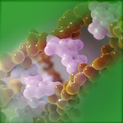 Blood CDC42 overexpression is associated with an increased risk of acute exacerbation, inflammation and disease severity in patients with chronic obstructive pulmonary disease