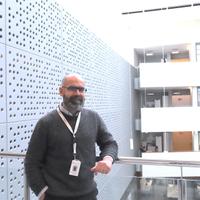 VitaminD tolerance activation in dendritic cells