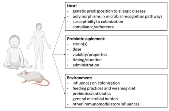 Probiotics as a Possible Strategy for the Prevention and Treatment of Allergies. A Narrative Review