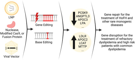 Gene editing for dyslipidemias: New tools to "cut" lipids
