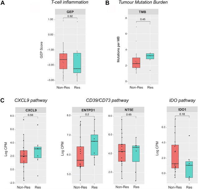 A Randomized Phase 2 Trial of Nivolumab Versus Nivolumab-Ipilimumab Combination in EGFR-Mutant NSCLC