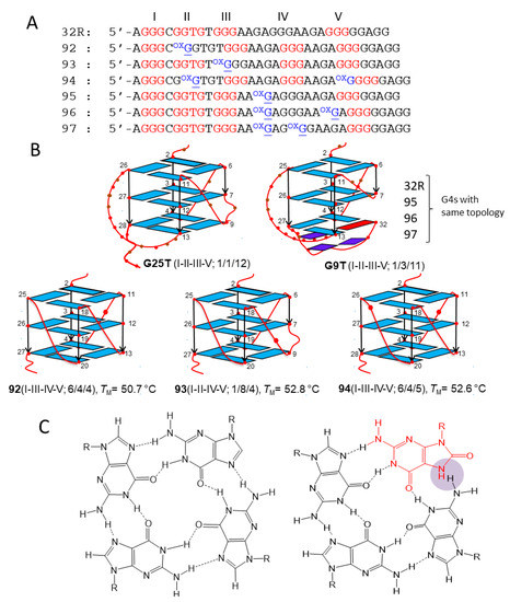 Effect of DNA Glycosylases OGG1 and Neil1 on Oxidized G-Rich Motif in the KRAS Promoter
