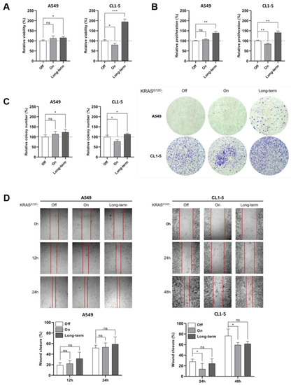 KRASG12C Can Either Promote or Impair Cap-Dependent Translation in Two Different Lung Adenocarcinoma Cell Lines
