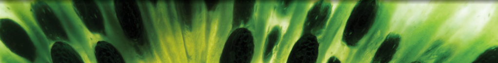 Effect of a High-Protein High-Fibre Nutritional Supplement on Lipid Profile in Overweight/Obese Adults with Type 2 Diabetes Mellitus: A 24-Week Randomized Controlled Trial