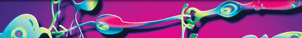Relationship of Retinal Vessel Caliber with Age-Related Macular Degeneration
