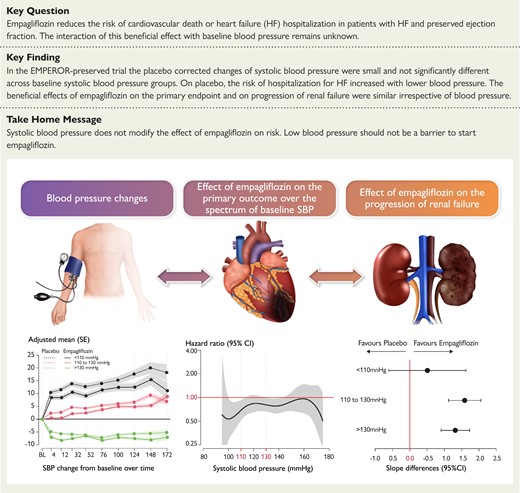 Empagliflozin, irrespective of blood pressure, improves outcomes in heart failure with preserved ejection fraction: the EMPEROR-Preserved trial