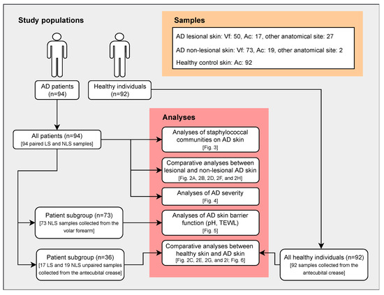 Staphylococcal Communities on Skin Are Associated with Atopic Dermatitis and Disease Severity