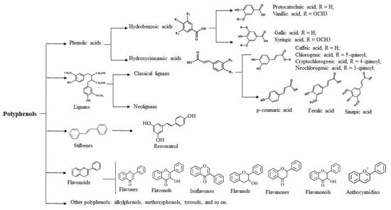 Effects of Natural Polyphenols on Skin and Hair Health: A Review