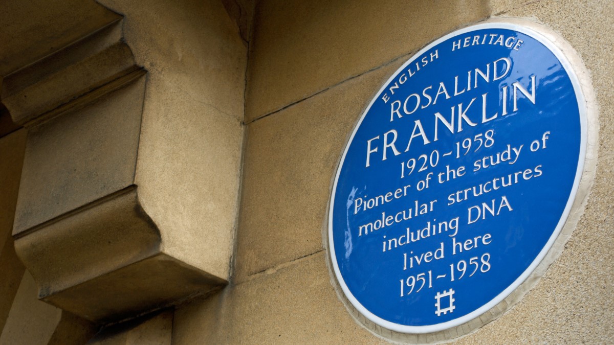 COVID Megalab To Boost Testing Infrastructure As UK Prepares For Future Diagnostic Needs