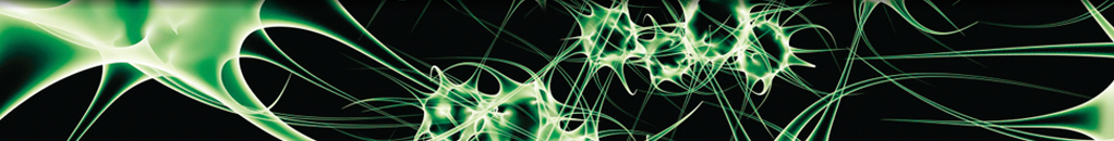 Evaluation of Retinal Structure and Optic Nerve Function Changes in Multiple Sclerosis: Longitudinal Study with 1-Year Follow-Up