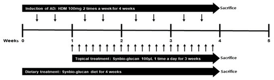 Anti-Inflammatory and Immune Modulatory Effects of Synbio-Glucan in an Atopic Dermatitis Mouse Model