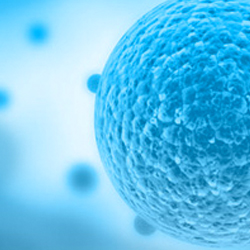 Leptin stimulates migration and invasion and maintains cancer stem‑like properties in gastric cancer cells