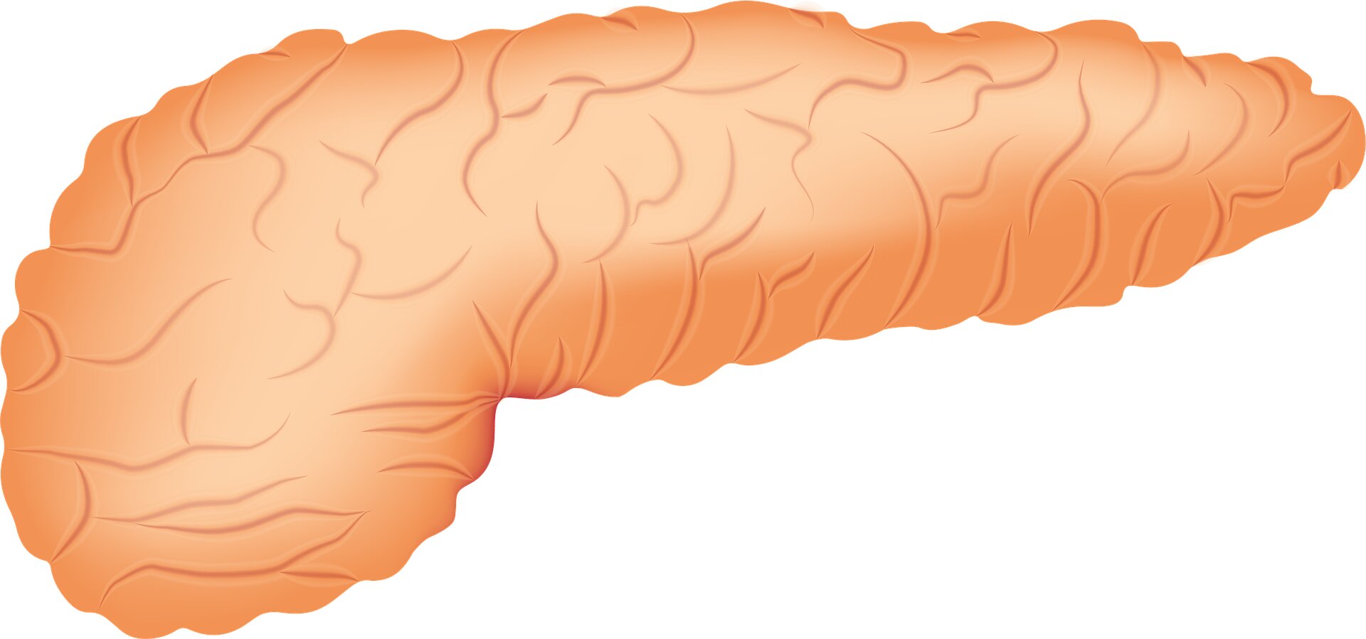 First artificial pancreas trialed for outpatients with type 2 diabetes