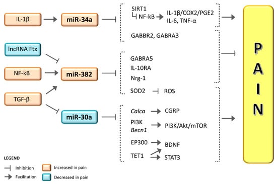 Expression of Selected microRNAs in Migraine: A New Class of Possible Biomarkers of Disease?