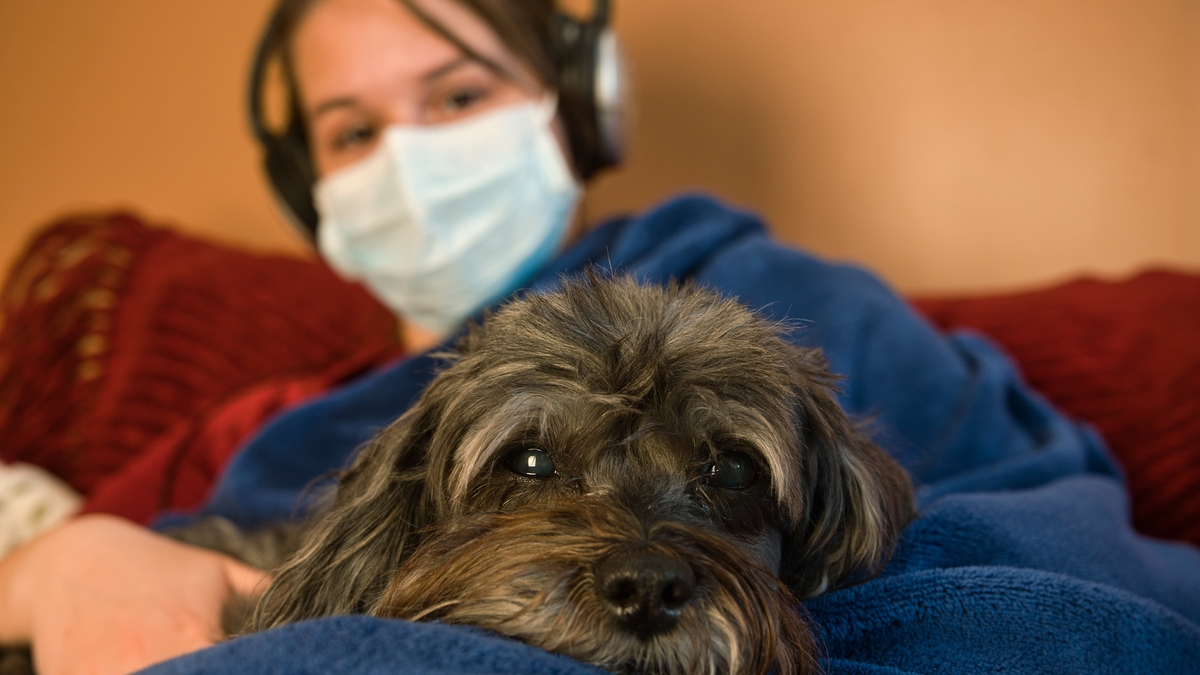 Pink Sheet Podcast: Pre-Announced FDA Inspections, Vaccine Safety, On-Time Application Decisions