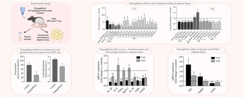 The lipidomic and inflammatory profiles of visceral and subcutaneous adipose tissues are distinctly regulated by the SGLT2 inhibitor empagliflozin in Zucker diabetic fatty rats