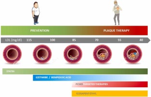 Lipid lowering combination therapy: From prevention to atherosclerosis plaque treatment