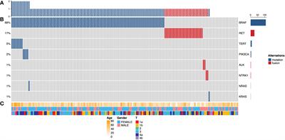 Genetic and clinical profiles of 160 papillary thyroid cancers with lateral neck lymph node metastasis