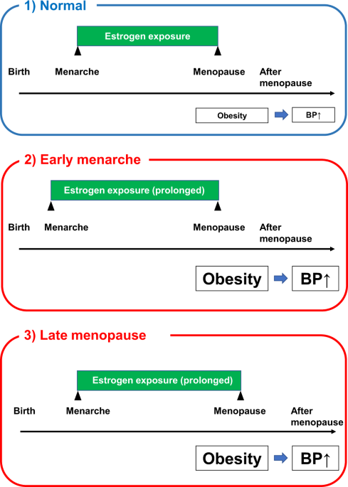 Late age at menopause positively associated with obesity-mediated hypertension - Hypertension Research