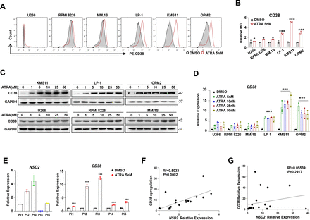 All-trans retinoic acid improves NSD2-mediated RARα phase separation and efficacy of anti-CD38 CAR T-cell therapy in multiple myeloma