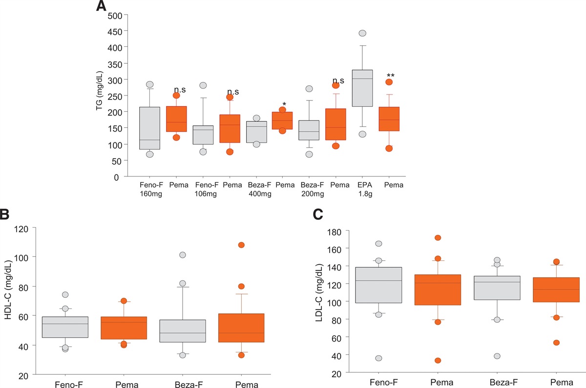 Efficacy and safety of pemafibrate in patients with chronic kidney disease: A retrospective study