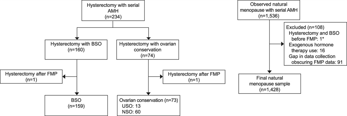 Anti-Müllerian Hormone Level Decline in Patients Undergoing Hysterectomy With and Without Oophorectomy Compared With Natural Menopause
