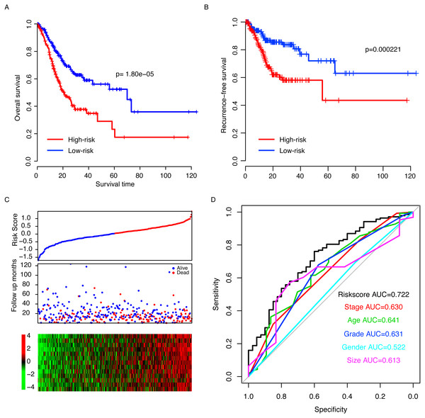 A gene expression-based risk model reveals prognosis of gastric cancer