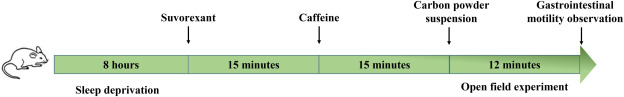 The orexinergic system mediates the excitatory effects of caffeine on the arousal and sympathetic activity