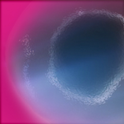 Zinc finger protein‑like 1 is a novel neuroendocrine biomarker for prostate cancer