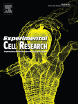 DEPTOR as a novel prognostic marker inhibits the proliferation via deactivating mTOR signaling pathway in gastric cancer cells