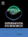 Inhibition of AIF-1 alleviates laser-induced macular neovascularization by inhibiting endothelial cell proliferation via restrained p44/42 MAPK signaling pathway