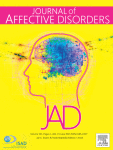 Effects of light therapy on sleep/wakefulness, daily rhythms, and the central orexin system in a diurnal rodent model of seasonal affective disorder