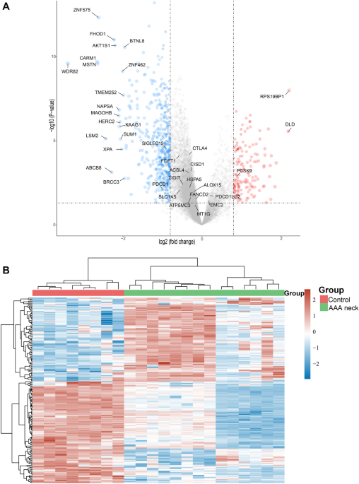 PCSK9, a novel immune and ferroptosis related gene in abdominal aortic aneurysm neck - Scientific Reports
