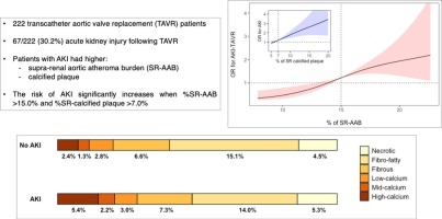 Supra-renal aortic atheroma extent and composition predict acute kidney injury after transcatheter aortic valve replacement: A three-dimensional computed tomography study