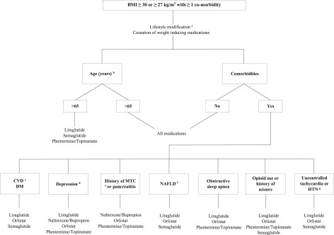 Pharmacotherapy of obesity: an update on the available medications and drugs under investigation