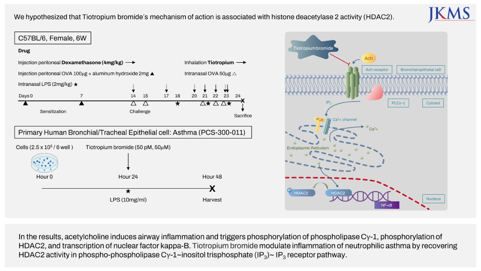 Tiotropium Bromide Improves Neutrophilic Asthma by Recovering Histone Deacetylase 2 Activity