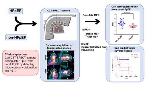potential of dynamic 99mTc-sestamibi cadmium zinc telluride-single-photon emission computed tomography camera assessing myocardial flow reserve in patients with heart failure with preserved ejection fraction