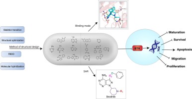 Recent research of BTK inhibitors: Methods of structural design, pharmacological activities, manmade derivatives and structure-activity relationship