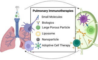 Aerosol Pulmonary Immune Engineering