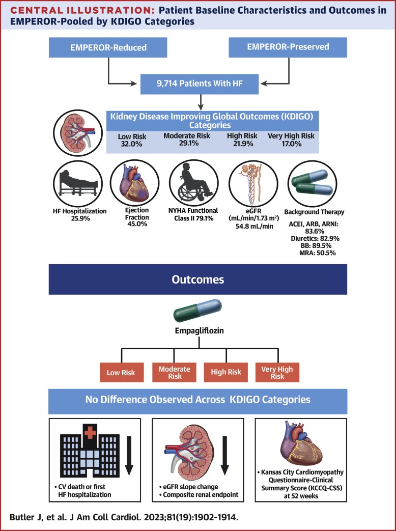 Efficacy of Empagliflozin in Patients With Heart Failure Across Kidney Risk Categories