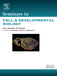 Epigenetic regulation of pulmonary inflammation