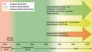 Beta-Blocker Use and Heart Failure Outcomes in Mildly Reduced and Preserved Ejection Fraction