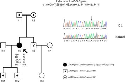Rare primary dyslipidaemias associated with low LDL and HDL cholesterol values in Portugal