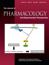 Beyond VEGF: targeting inflammation and other pathways for treatment of retinal disease